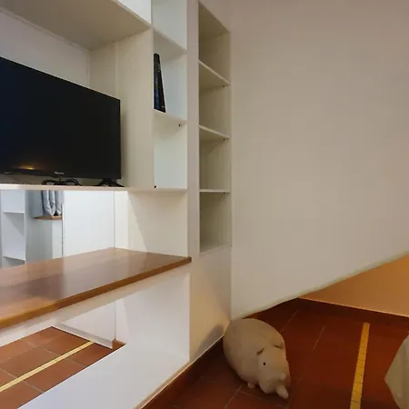 Camelia 12 Apartment *