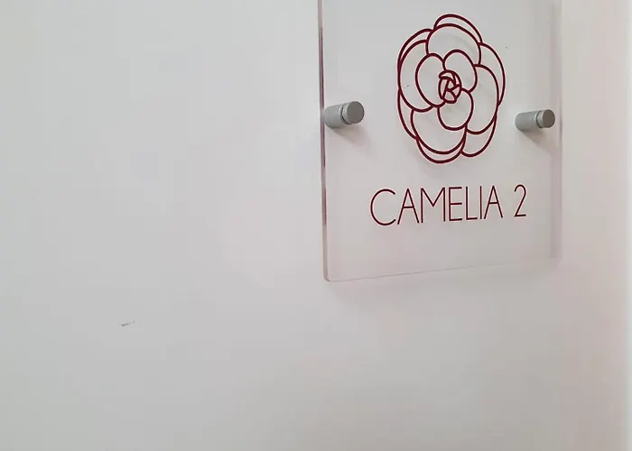 Apartamento Camelia 12