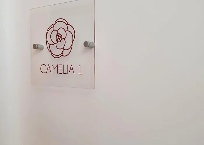 Apartment Camelia 12 *